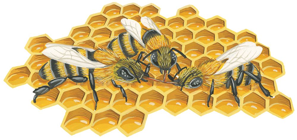 Bee PNG    图片编号:74734