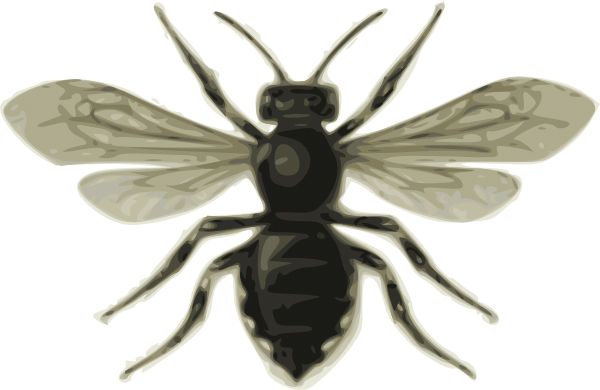 Bee PNG    图片编号:74735