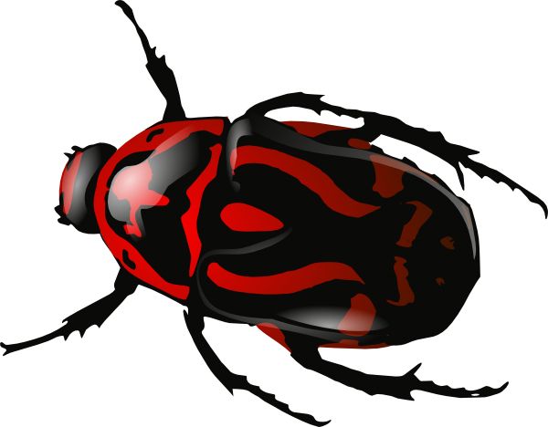 red insect bug PNG image    图片编号:4001