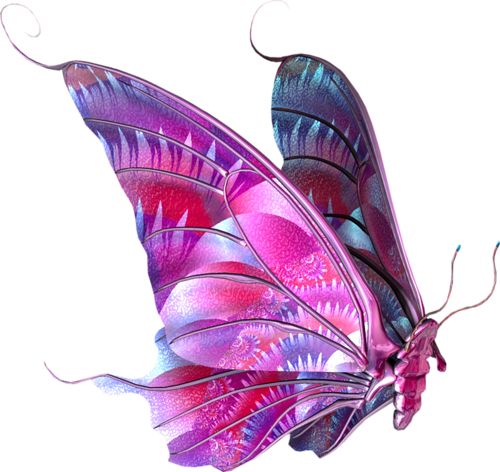 flying butterfly PNG image    图片编号:1000