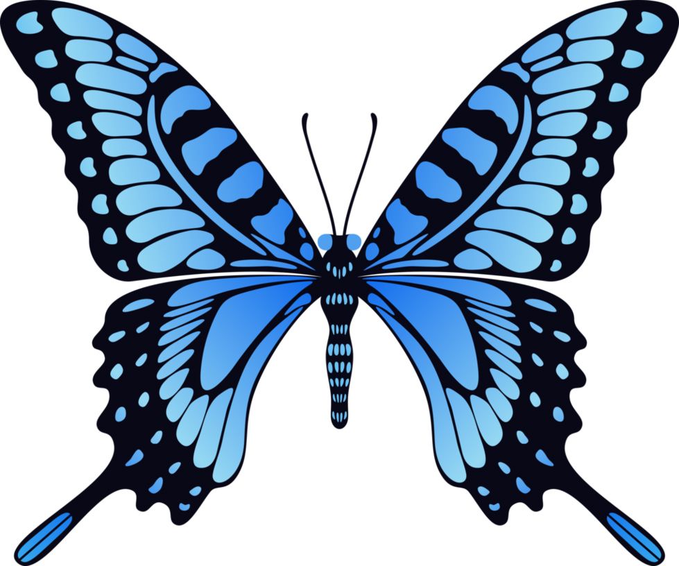 Blue butterfly PNG image    图片编号:1014