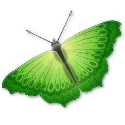 Butterfly PNG image    图片编号:1018