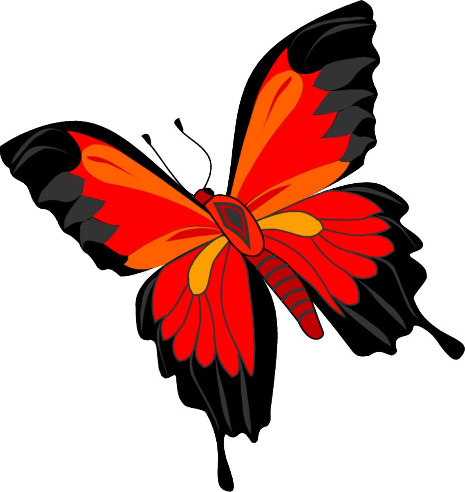 Butterfly PNG image    图片编号:1019