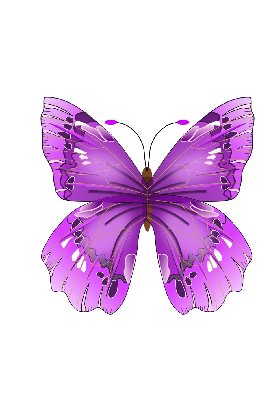 Butterfly PNG image    图片编号:1021