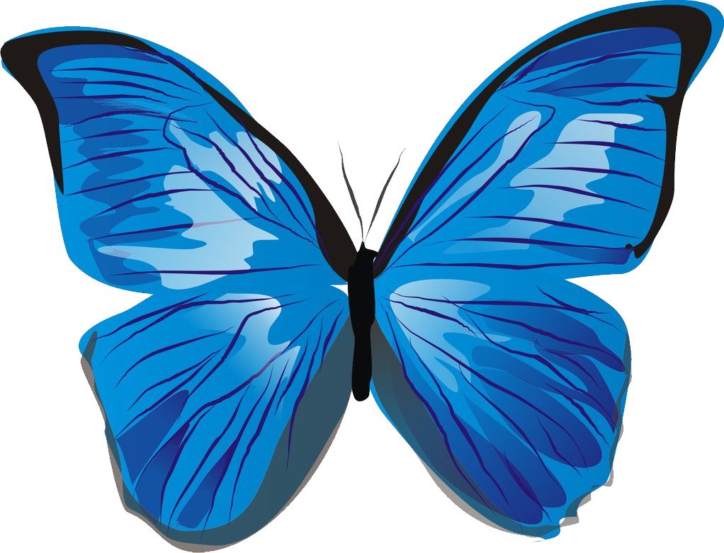 Blue butterfly PNG image    图片编号:1029