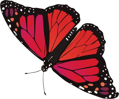Butterfly PNG image    图片编号:1030