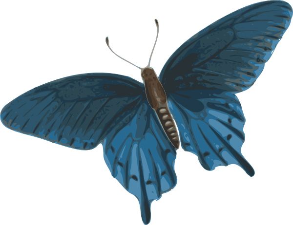 Butterfly PNG image    图片编号:1038