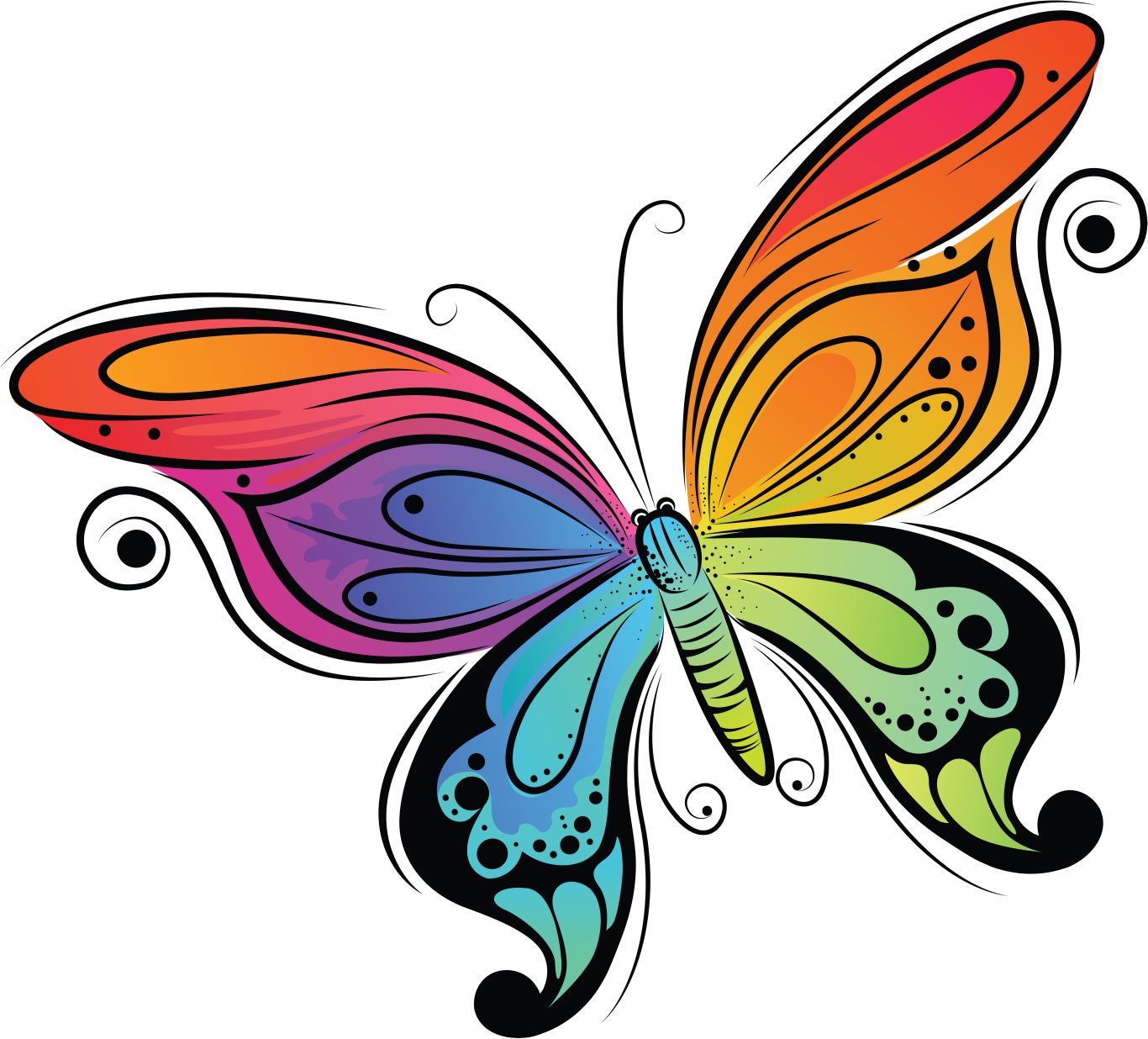 color butterfly PNG    图片编号:103810