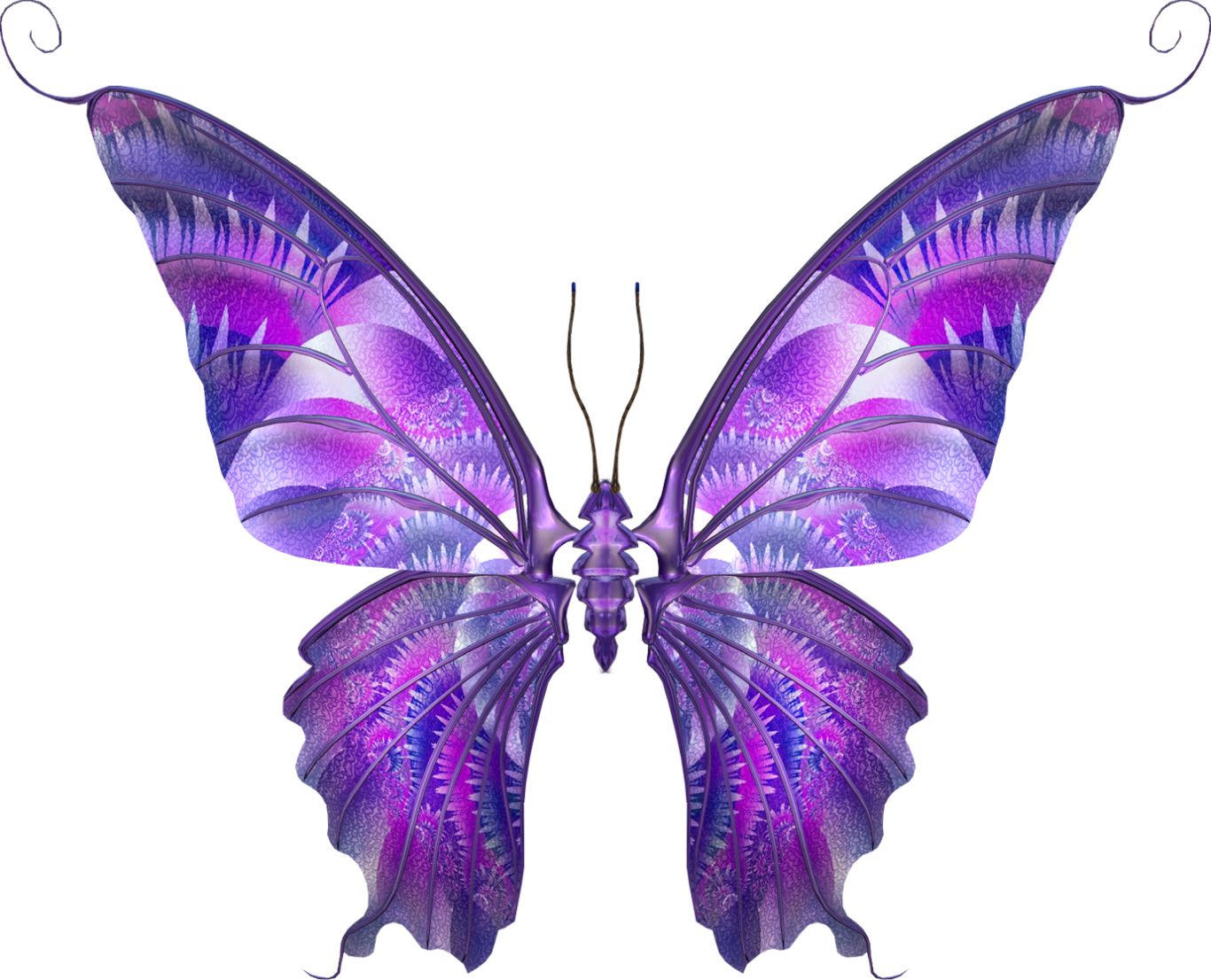 Butterfly PNG    图片编号:103811