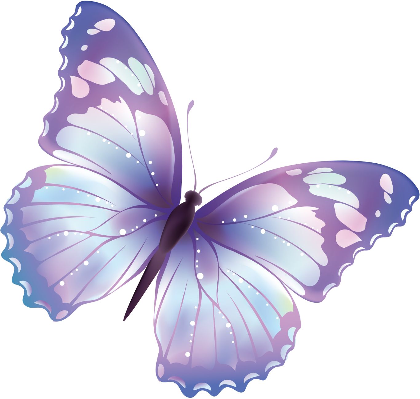Butterfly PNG    图片编号:103822