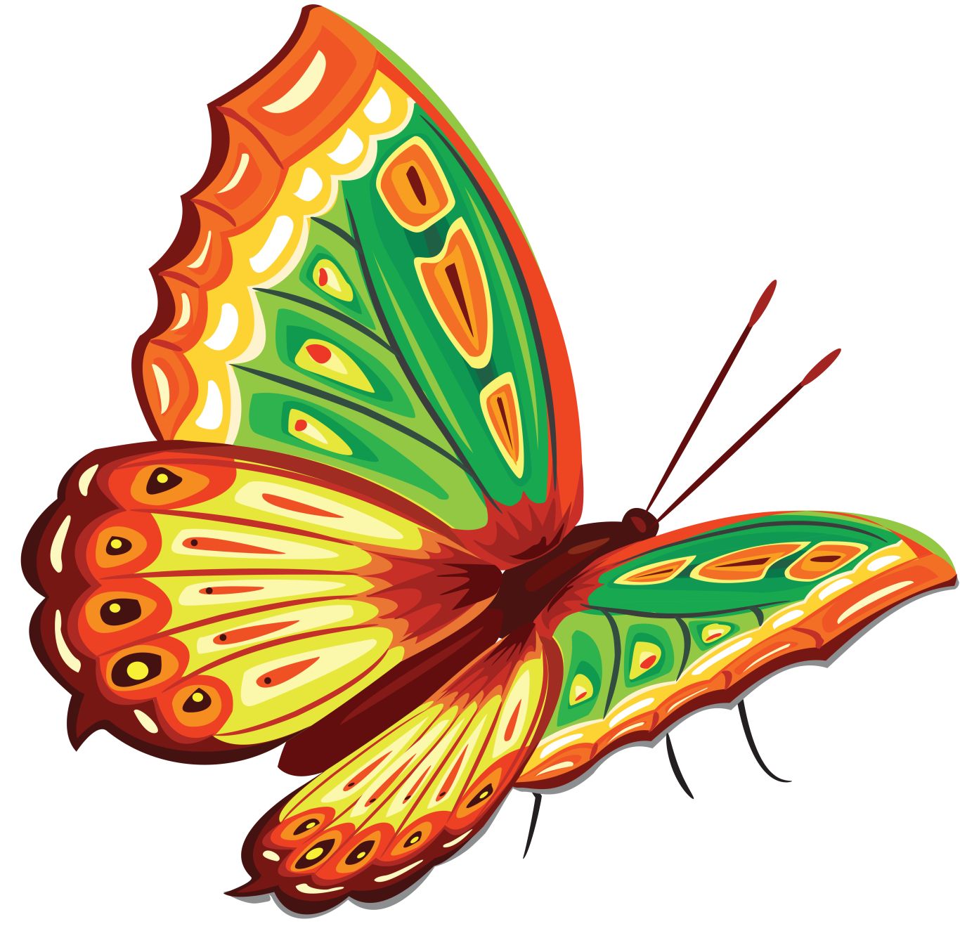 Butterfly PNG    图片编号:103831