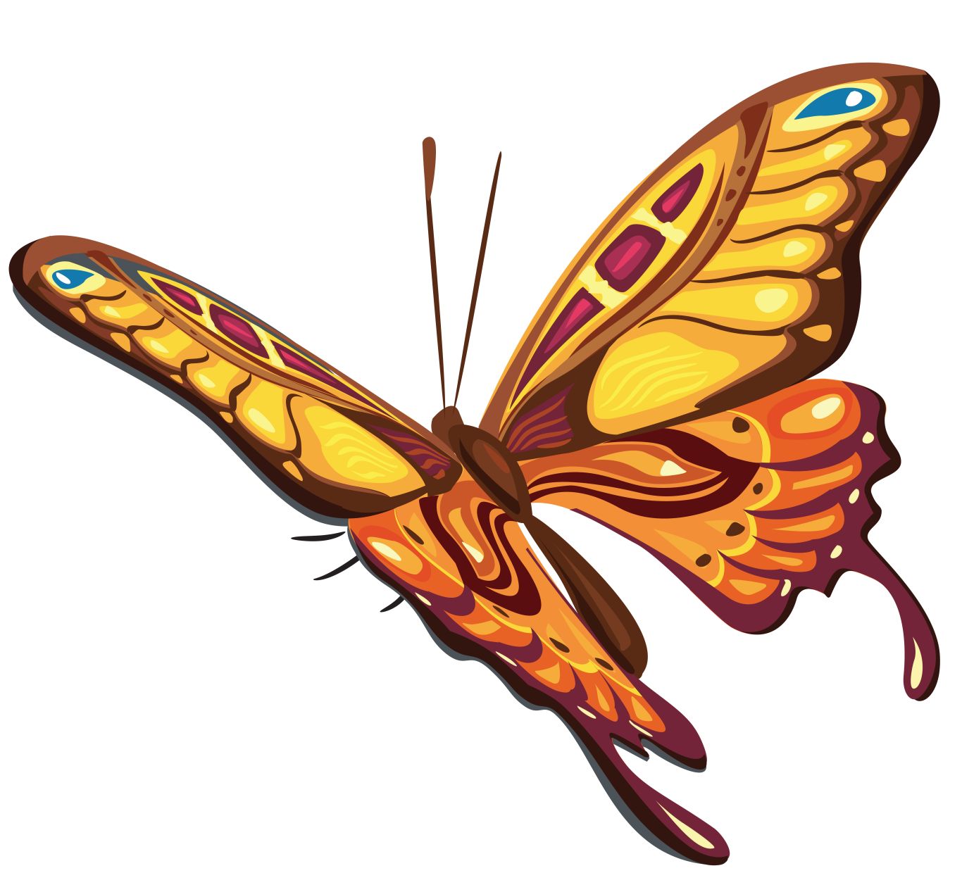 Butterfly PNG    图片编号:103832