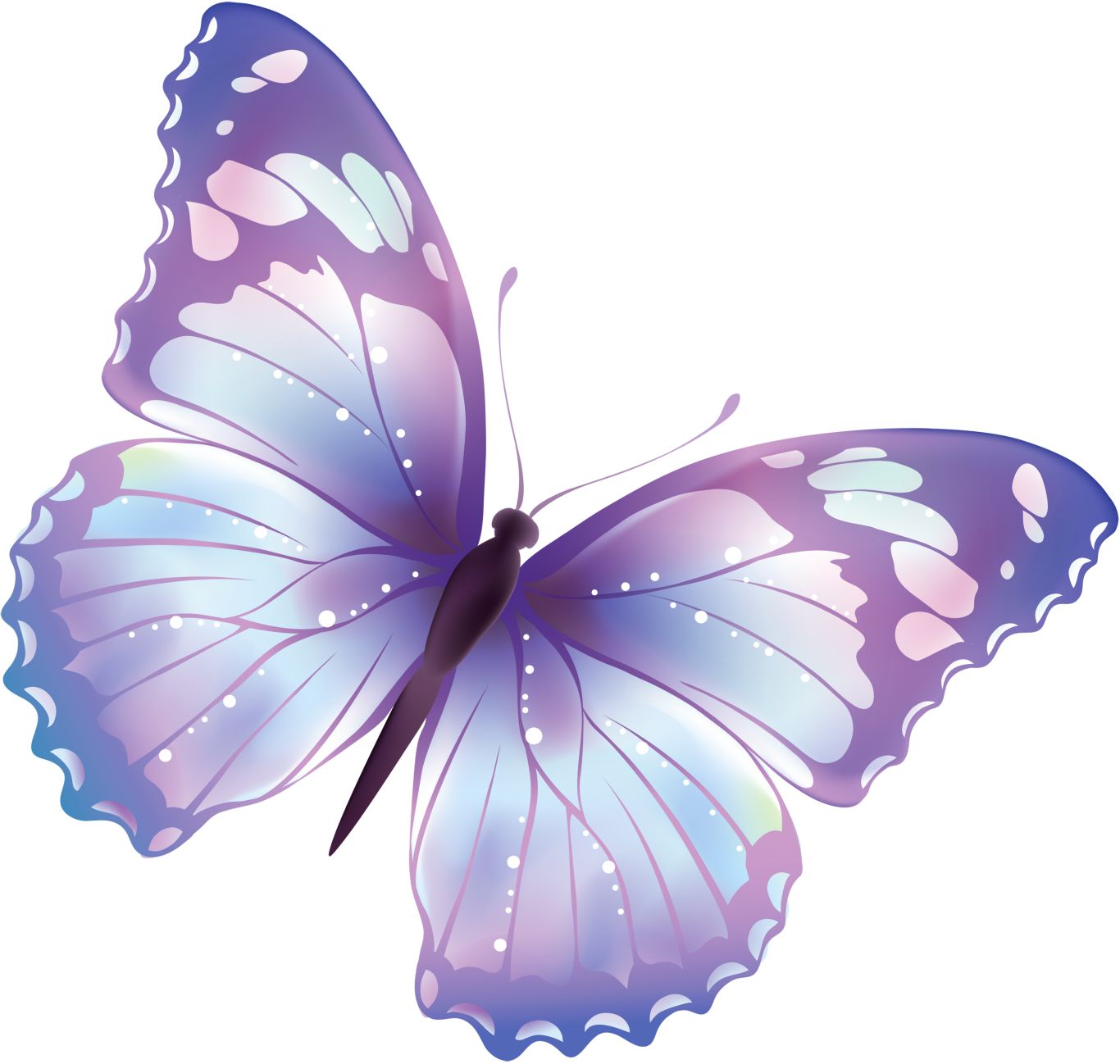 flying butterfly PNG image    图片编号:1040