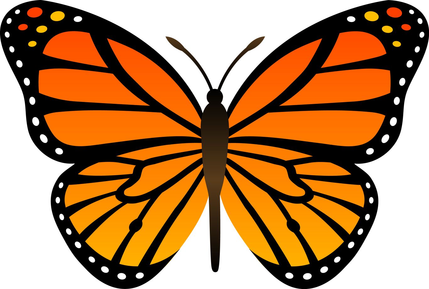 Orange butterfly PNG image, butterflies free download    图片编号:1048