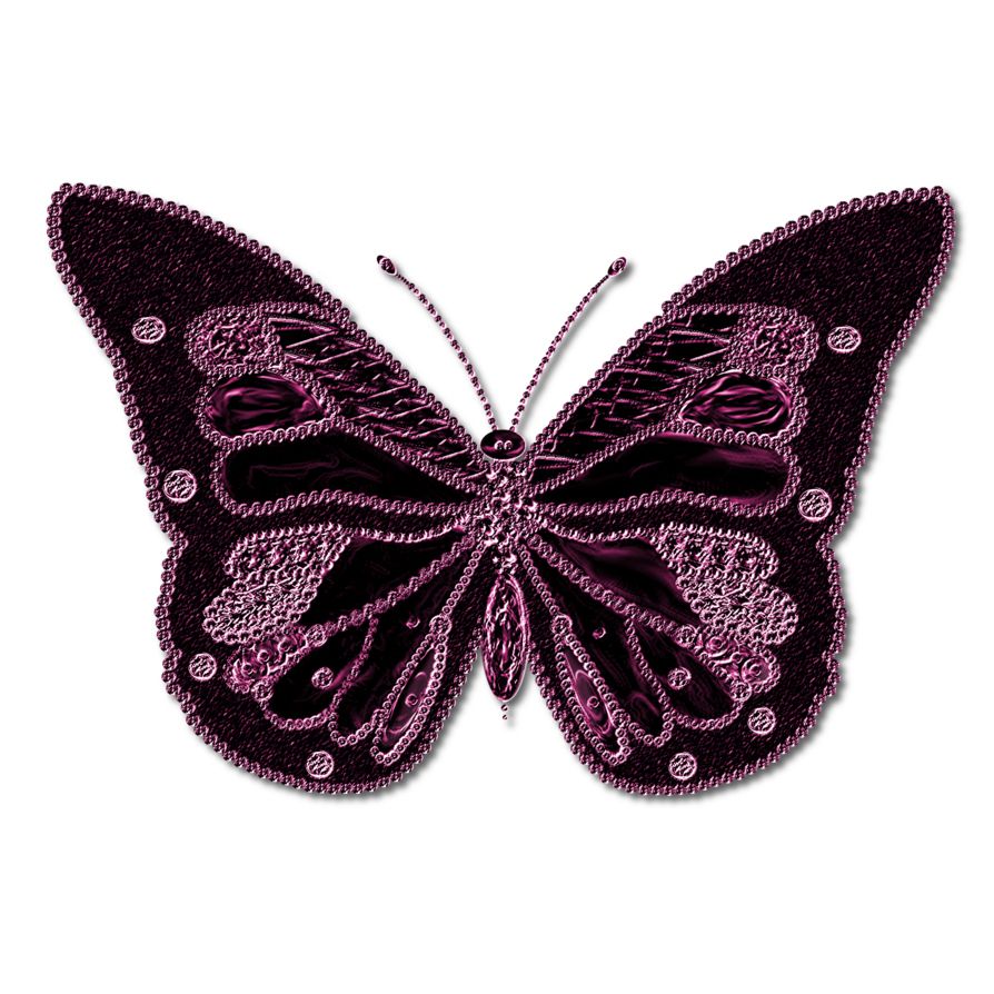 Butterfly PNG image    图片编号:1050