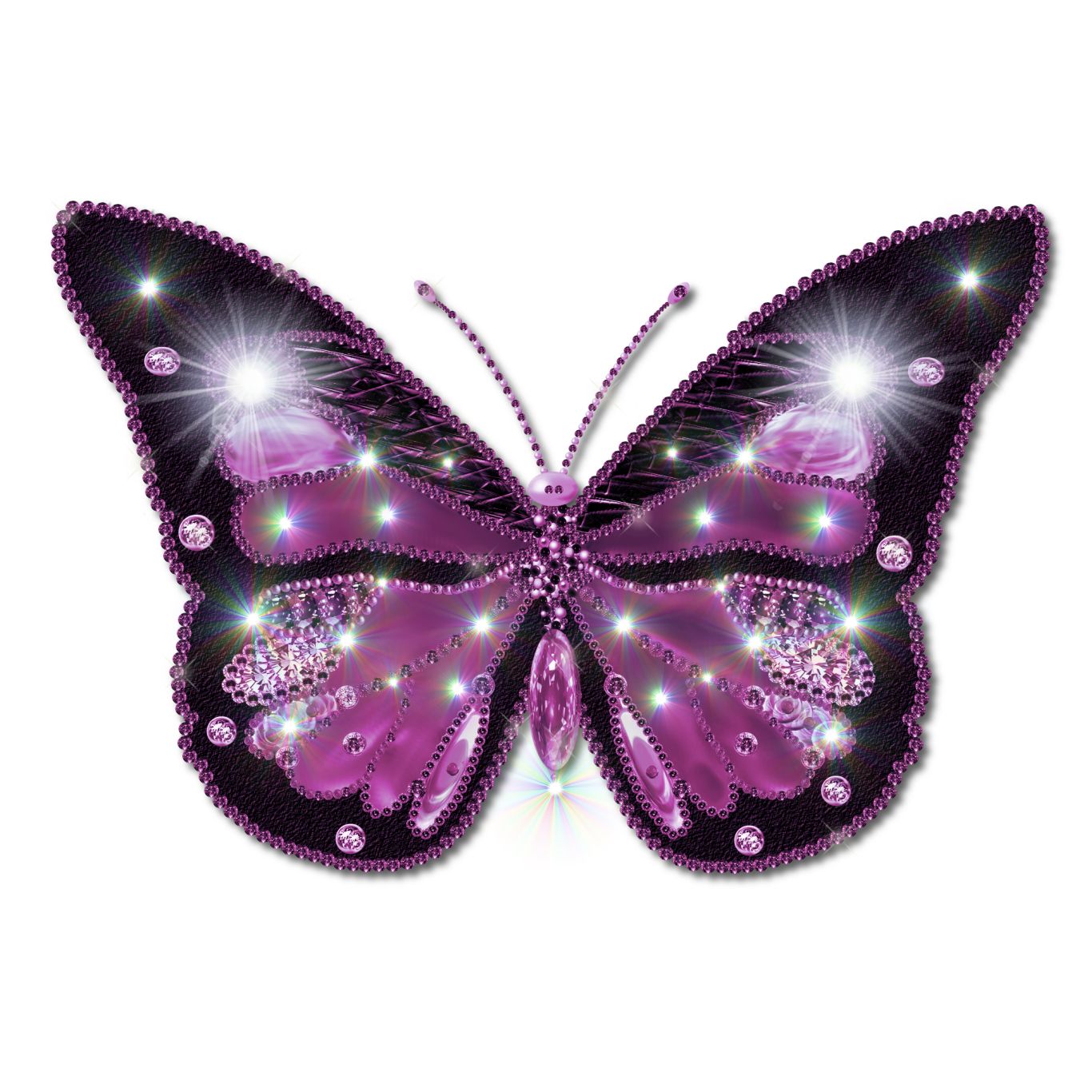 Butterfly PNG image    图片编号:1052