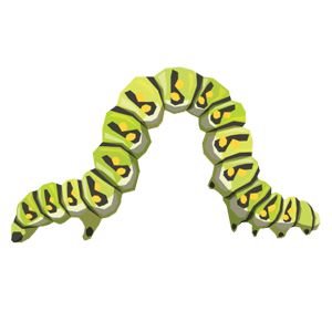 Caterpillar PNG    图片编号:53923
