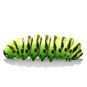 Caterpillar PNG    图片编号:53912