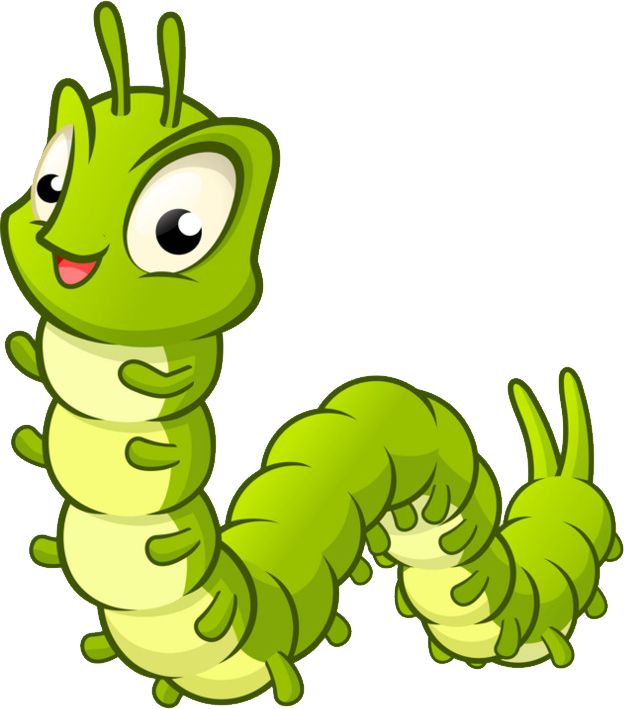 Caterpillar PNG    图片编号:53913