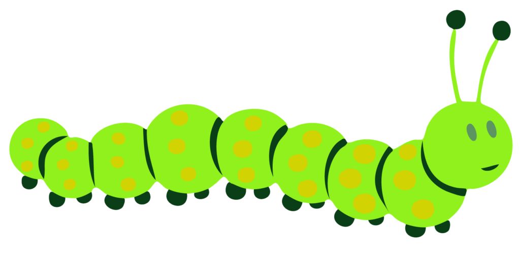 Caterpillar PNG    图片编号:53941
