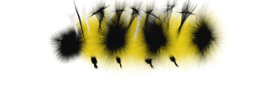 Caterpillar PNG    图片编号:53943
