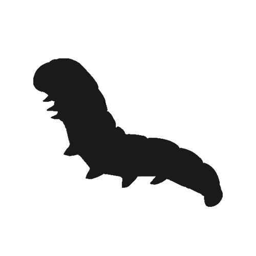 Caterpillar PNG    图片编号:53972