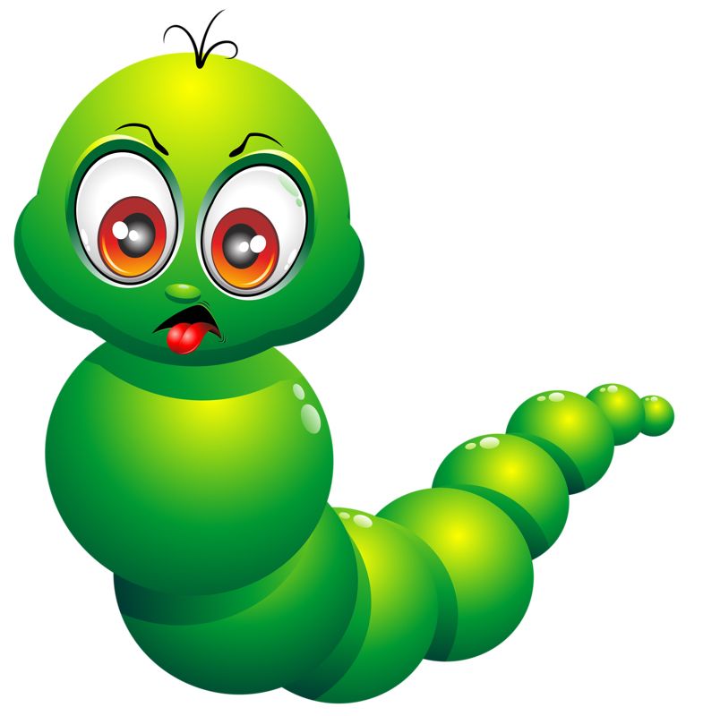 Caterpillar PNG    图片编号:53985