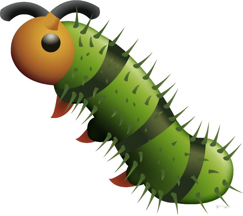Caterpillar PNG    图片编号:53918