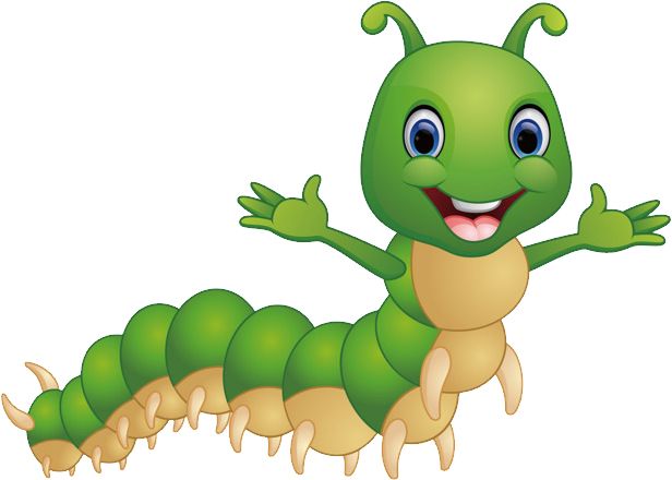 Caterpillar PNG    图片编号:53919