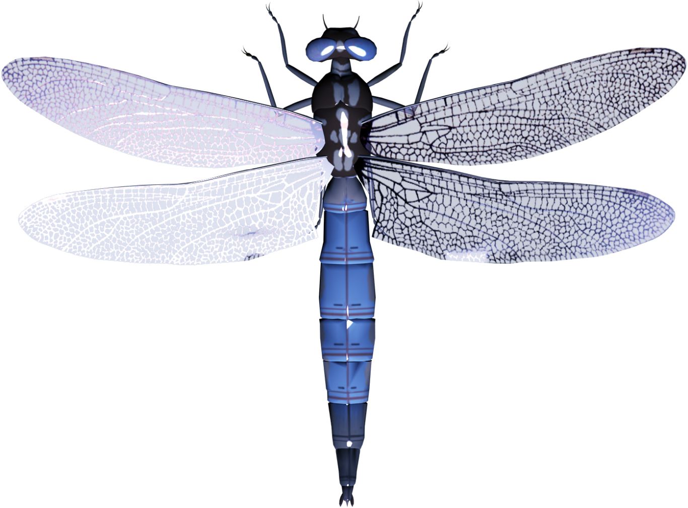 Dragonfly PNG    图片编号:26277