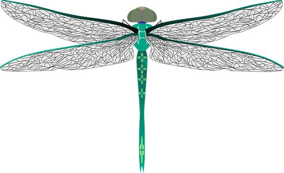 Dragonfly PNG    图片编号:26280