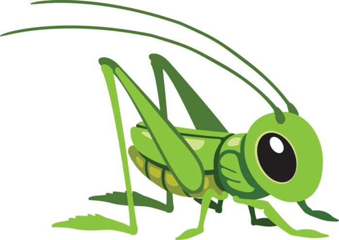 Grasshopper PNG    图片编号:27503