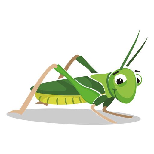 Grasshopper PNG    图片编号:27505