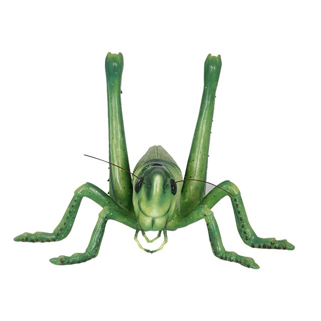 Grasshopper PNG    图片编号:27516