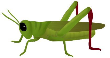 Grasshopper PNG    图片编号:27517
