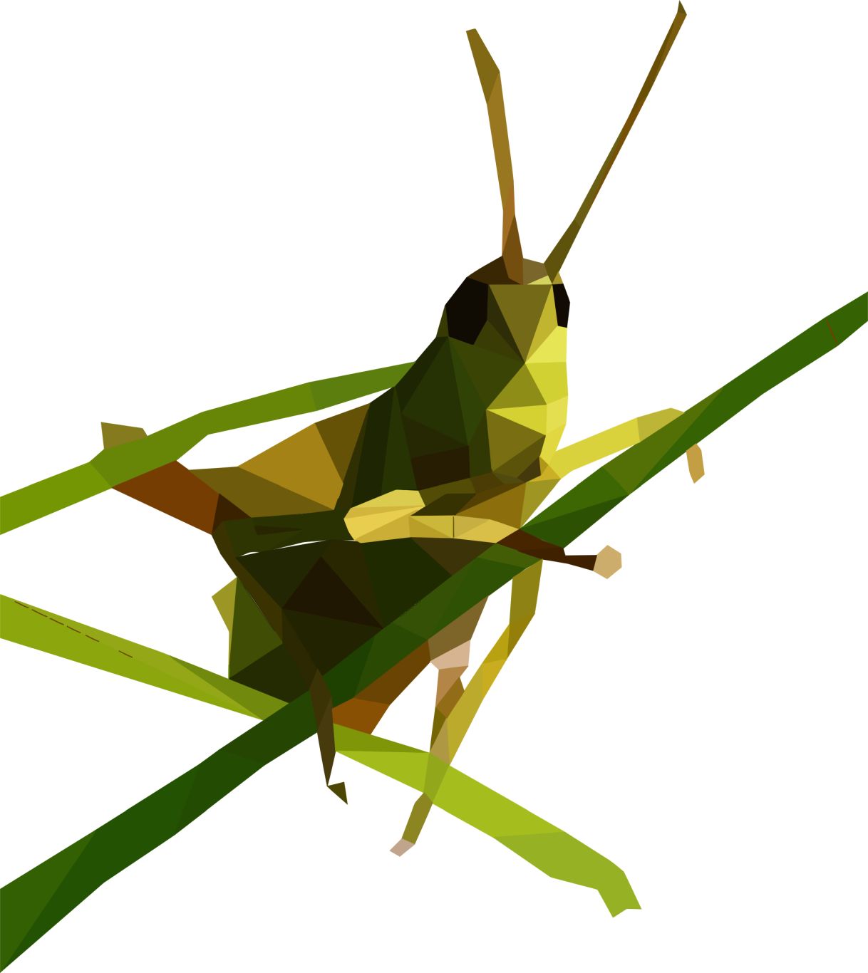 Grasshopper PNG    图片编号:27526
