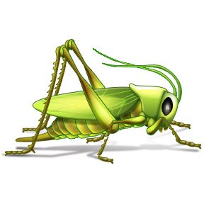 Grasshopper PNG    图片编号:27530