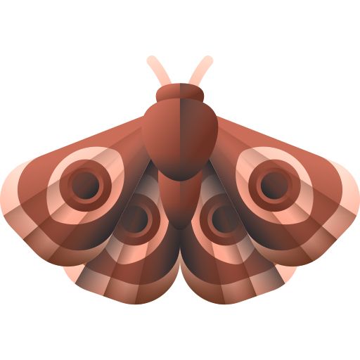 Moth PNG    图片编号:106029