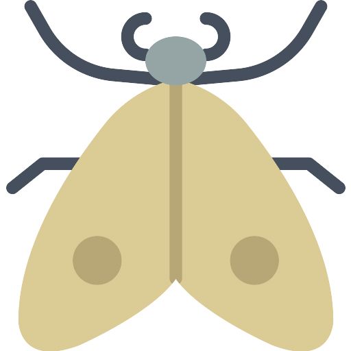 Moth PNG    图片编号:106061