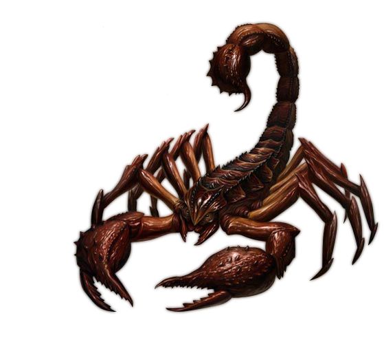 Scorpion PNG    图片编号:12117