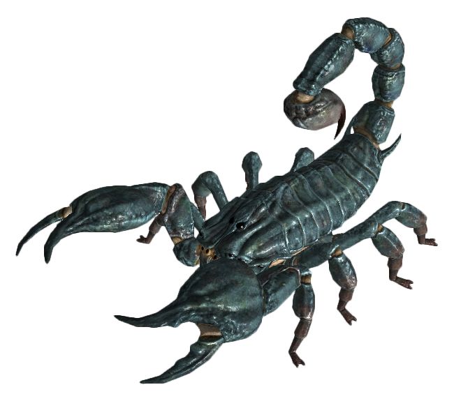 Scorpion PNG    图片编号:12125