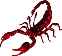 Scorpion PNG    图片编号:12128