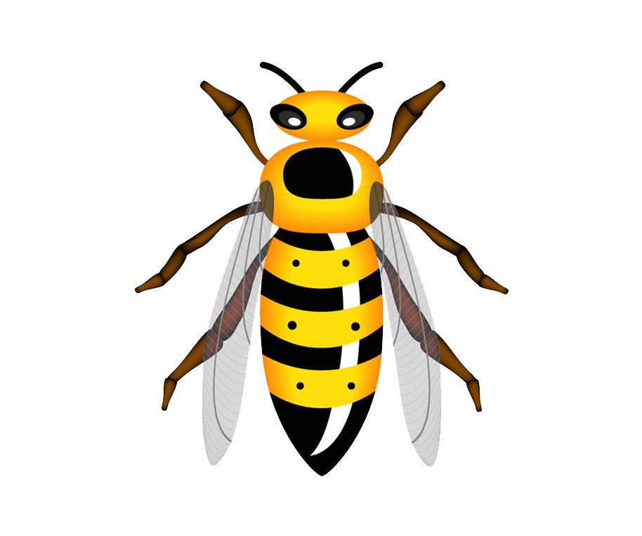 Wasp PNG    图片编号:74580