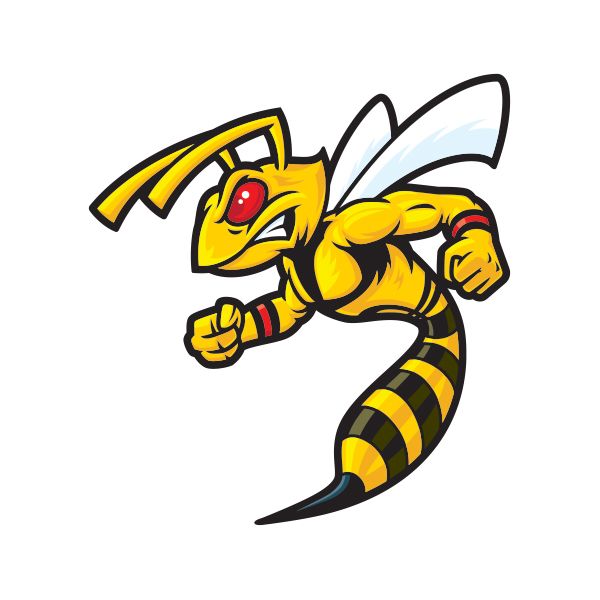 Wasp PNG    图片编号:74603
