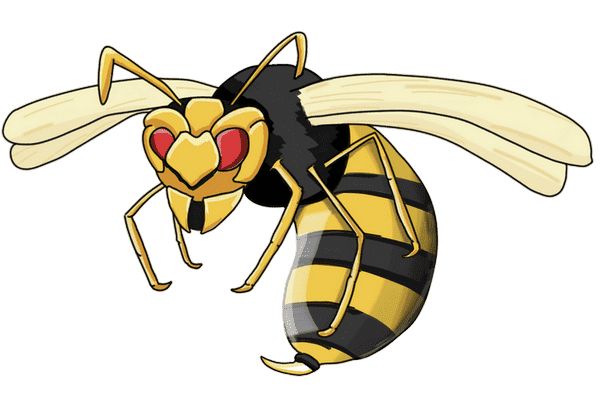 Wasp PNG    图片编号:74605