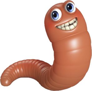 earthworm worm PNG    图片编号:50798
