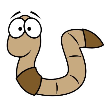 earthworm worm PNG    图片编号:50802