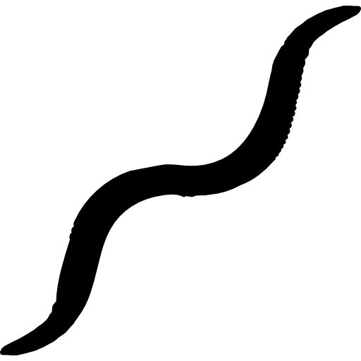 earthworm worm PNG    图片编号:50803