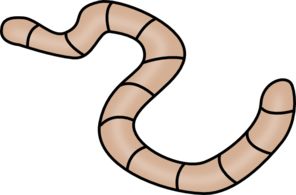earthworm worm PNG    图片编号:50809