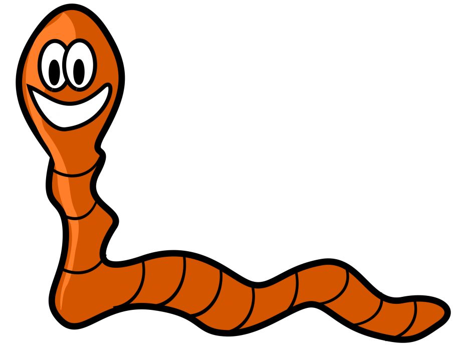 earthworm worm PNG    图片编号:50813